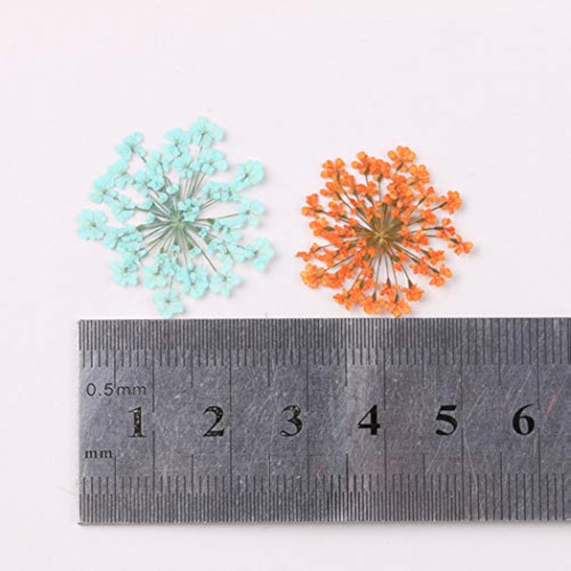 120PCS Dried Flower Creative DIY Craft Supplies